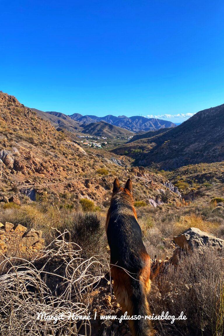 Wandern mit Hund Cabo de Gata