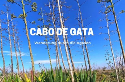 Cabo de Gata Wanderung durch die Agaven