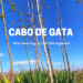 Cabo de Gata Wanderung durch die Agaven